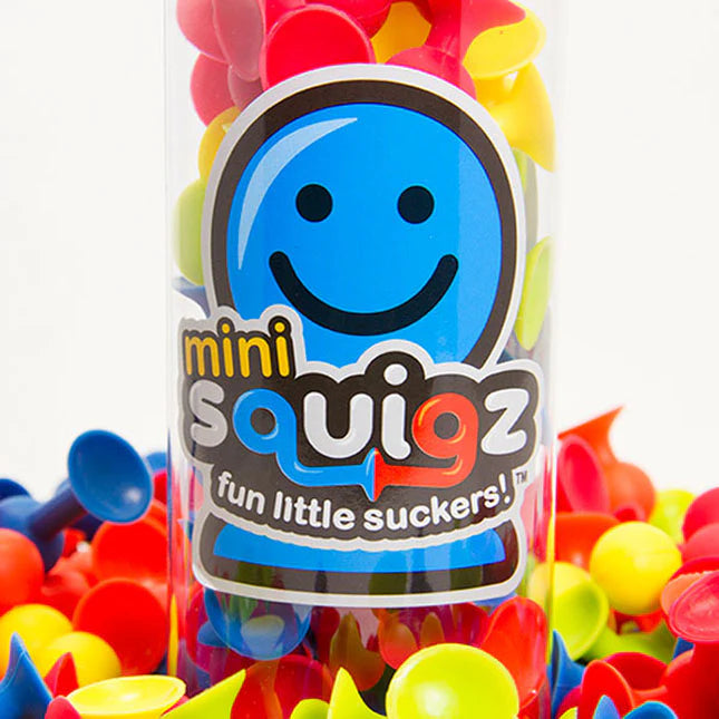 Mini Squigz 30 piece set