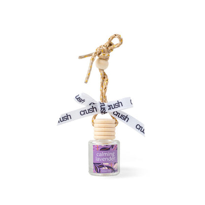 Hanging In There Scent Diffuser