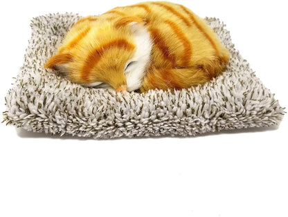 Mini Orange Tabby
