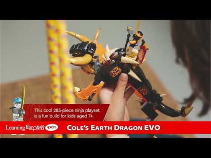 Coles Earth Dragon Evo