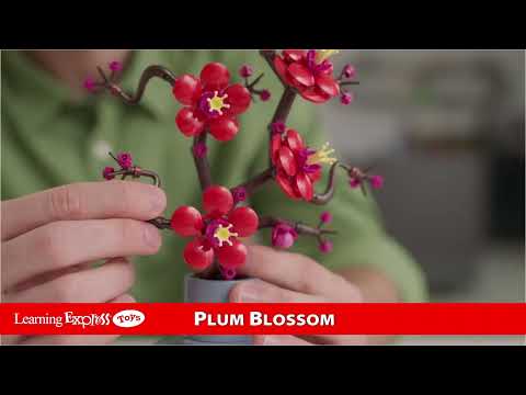 Plum Blossom Botanical