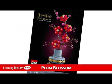 Plum Blossom Botanical
