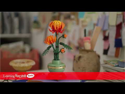 Chrysanthemum