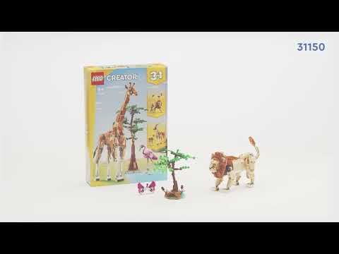 Wild Safari Animals