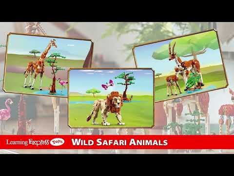 Wild Safari Animals