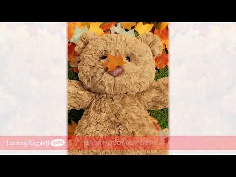 Bartholomew Bear Large