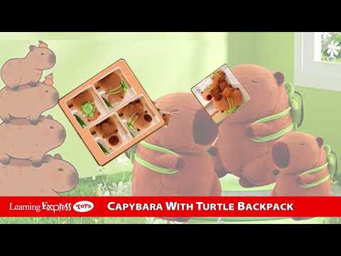 Capybara Turtle Backpack