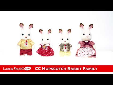 Chocolate Rabbit Family