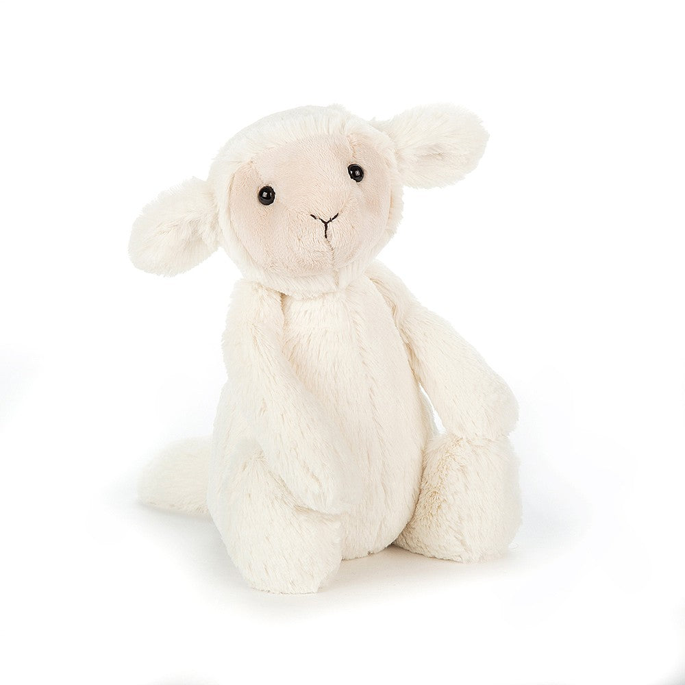 Bashful Lamb Med 2017