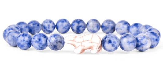 Polar Igloo Blue Fahlo