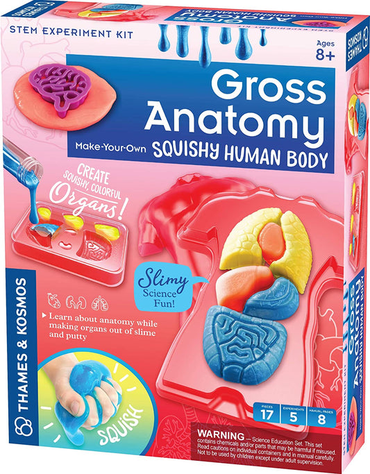 *** Myo Squishy Human Bod