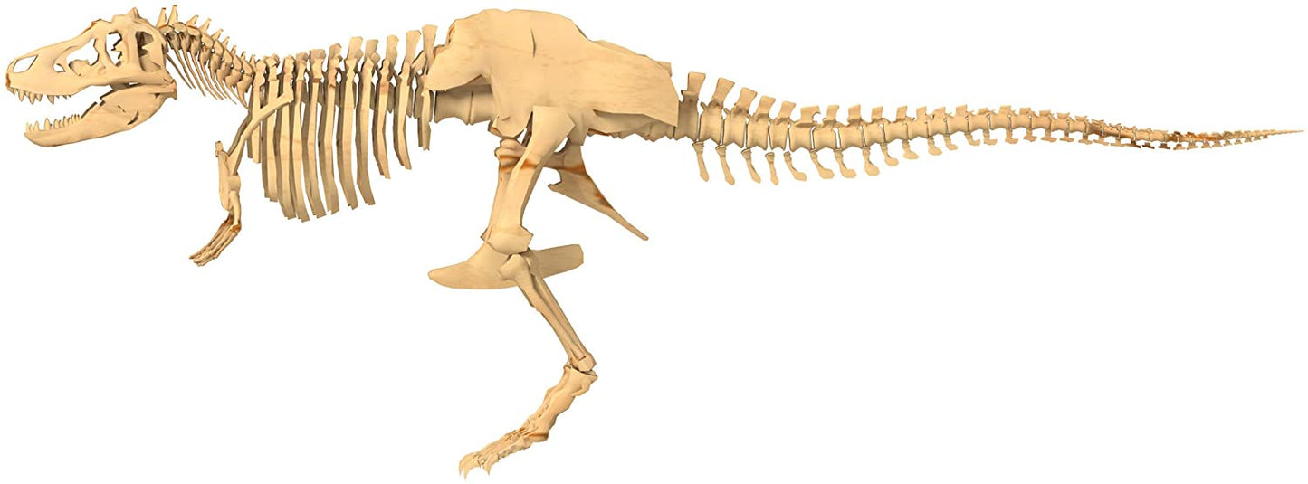 *** Giant Dinosaur Skelet