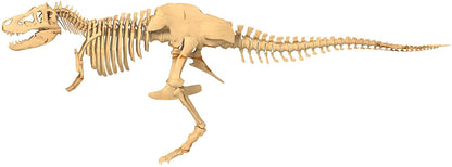 *** Giant Dinosaur Skelet