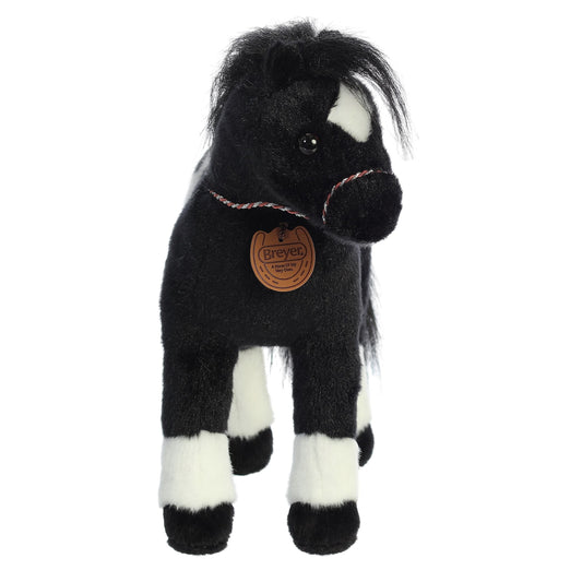 Black Appaloose 13