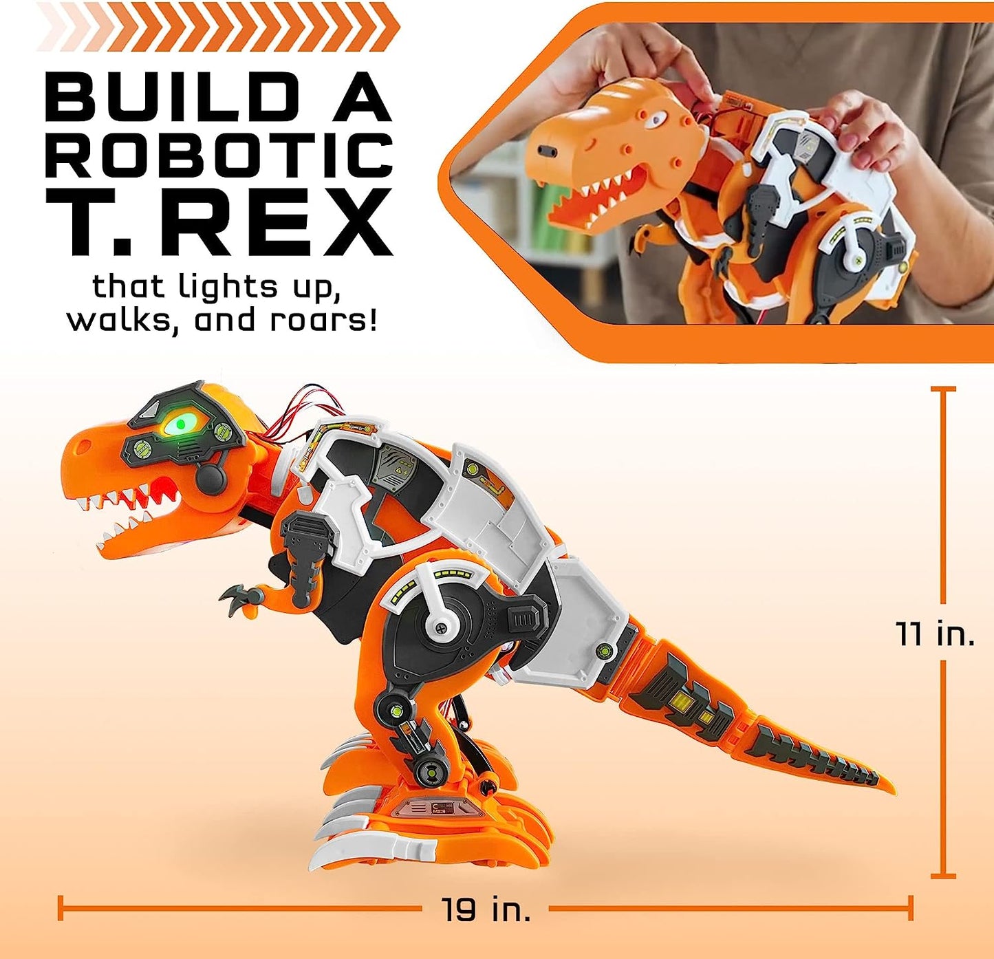 Code Control Dino Robot