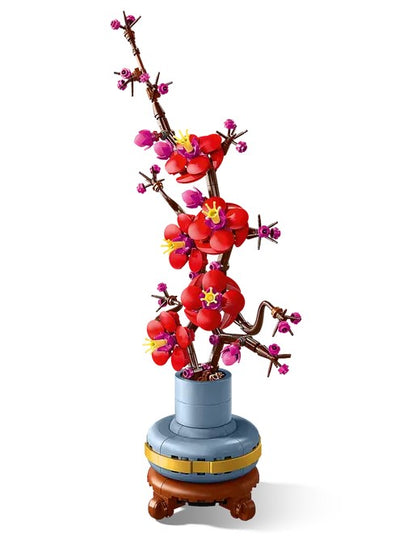 Plum Blossom Botanical