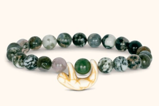 Rainforest Green Sloth