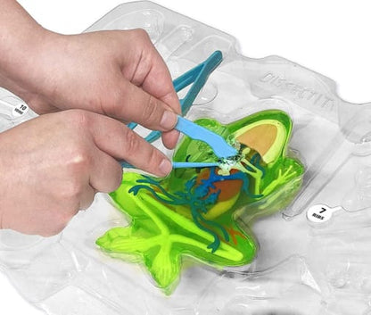 Dissect IT Super Frog Lab